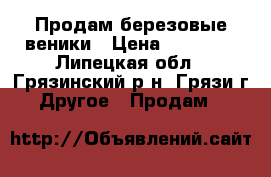 Продам березовые веники › Цена ­ 50-100 - Липецкая обл., Грязинский р-н, Грязи г. Другое » Продам   